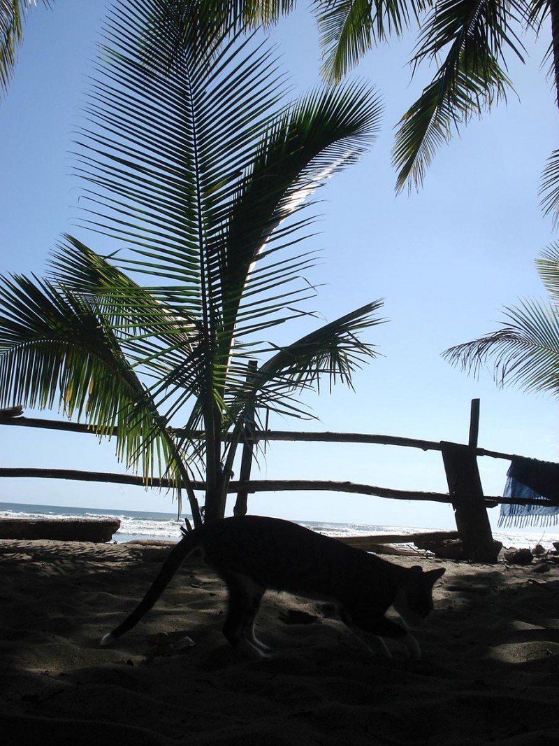 COIBA-PANAMA-(3)