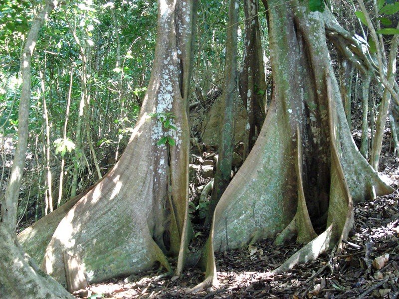 COIBA-PANAMA-(7)