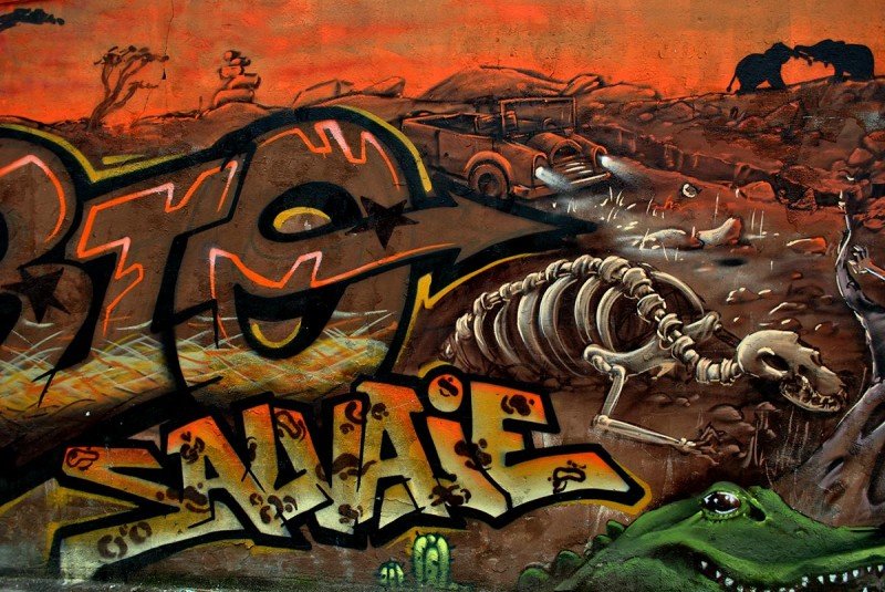DELIRIO-SALVAJE-(12)