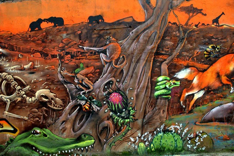 DELIRIO-SALVAJE-(16)