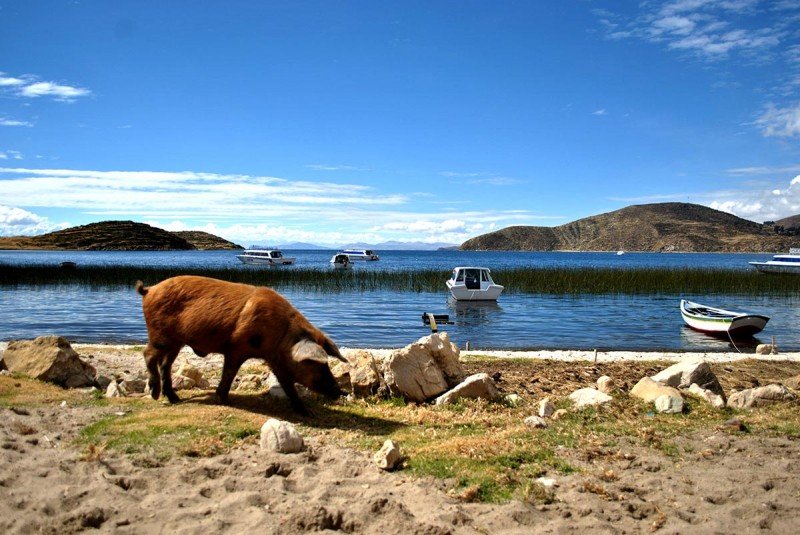 TITICACA-COPACABANA-WUAT-(24)